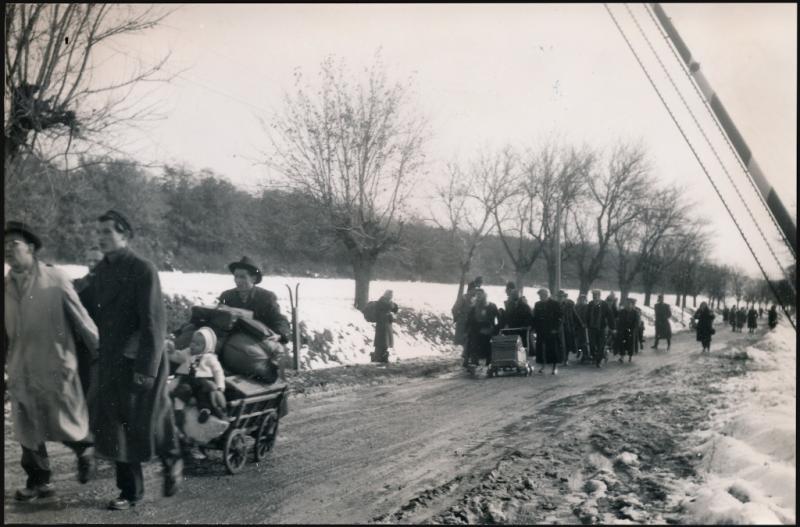 Ungaren flüchten über die Grenze nach Österreich (Universität Zürich Archiv, archiv.uzh.ch)